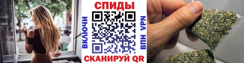 БУТИРАТ BDO  hydra как зайти  Тарко-Сале 