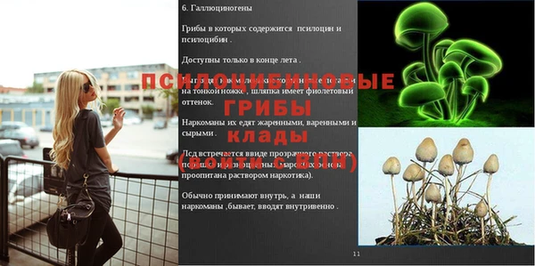 гидра Наволоки